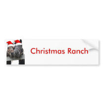 Our First Christmas bumper stickers