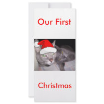 Our First Christmas rack cards
