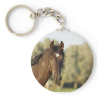 Our frisian hirse named troy key chain