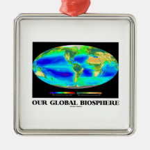 Our Global Biosphere (Global Photosynthesis) Ornaments
