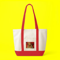 Our Lady Bag