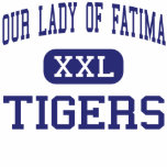 Our Lady Of Fatima - Tigers - High - Warren t-shirts