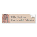Our Lady of Guadalupe bumper stickers