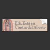 Our Lady of Guadalupe bumper stickers