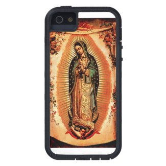 Our Lady of Guadalupe Cover iPhone 5 Cases