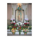 Our Lady of Guadalupe Postcard