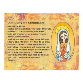 Our Lady of Guadalupe Postcard