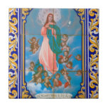 Our Lady of the Conception Ceramic Tiles