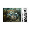 our last resort postage