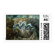 our last resort postage