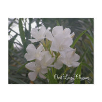 Our Love Blossoms Gift Registry Cards invitations