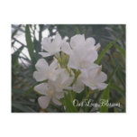 Our Love Blossoms Gift Registry Cards invitations