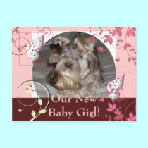 Our New Baby Girl! postcards