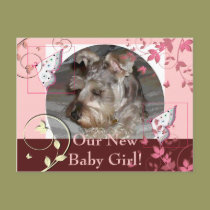 Our New Baby Girl! postcards