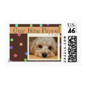 pet photo postage stamp