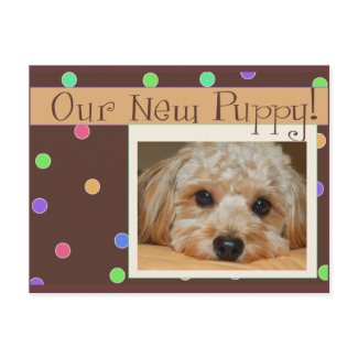 Our New Puppy postcard