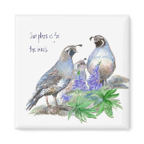 Our place is for the birds, California Quail Magnet