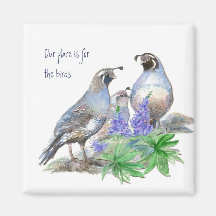 Our place is for the birds, California Quail Magnet