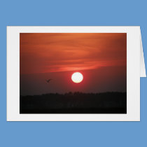 Our Sunset cards