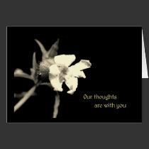 Our thoughts are with you cards