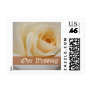 Our Wedding Cream Rose