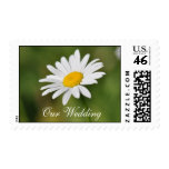 Our Wedding, Daisy Stamps