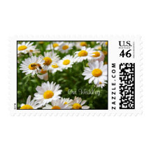 our wedding pastage postage stamps