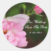 Our Wedding, save the date, pink rose Sticker