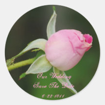 Our Wedding, save the date, pink rose Round Sticker