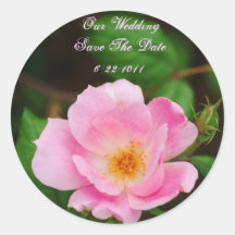 Our Wedding, save the date, pink rose Round Sticker