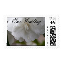 Our Wedding, White Camellia Postage Stamps