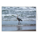 Out for a Morning Stroll cards by StarLily Out for a Morning Stroll cards