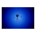 Out From The Deep posters by vladstudio Out From The Deep posters
