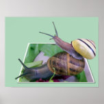 Out of Bounds Print