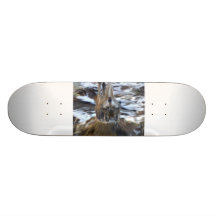 Out of Nowhere Skate Deck