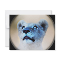 Out Of The Blue invitations