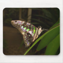 Out of the dark mousepads