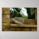 Out on a ledge poster