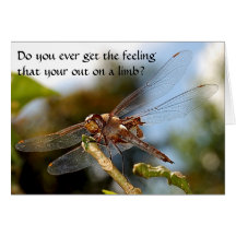 Out on a limb-card