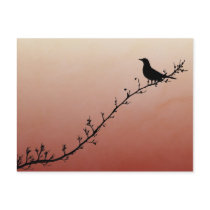 Out on a Limb Post Card postcards by kcranmerart Out on a Limb Post Card postcards
