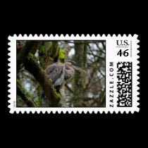 Out on a limb postage