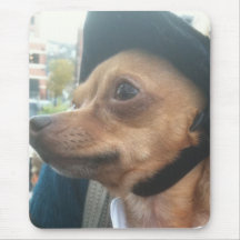 OUT ON THE TOWN DACHSHOUND MOUSEPAD