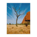 Outback Australia Post Cards