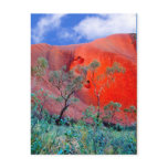 Outback Australia Post Cards