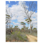 Outback Australiens Personalized Flyer