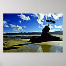 Outcrop, Abel Tasman National Park, South Island Print