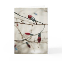 Outdoor Christmas Tree Cards