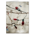 Outdoor Christmas Tree Cards