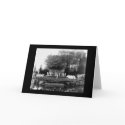 Outdoor Dance Long Island 1905 cards by lc_vintagephotos Outdoor Dance Long Island 1905 cards
