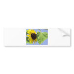 Outdoor Friends bumper stickers
